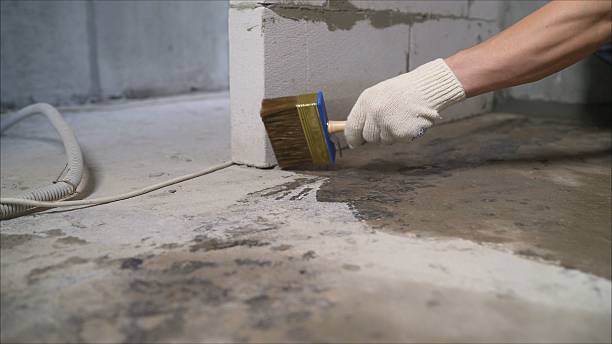 Top rated local Crawl Space Encapsulation specialists in Demarest, NJ